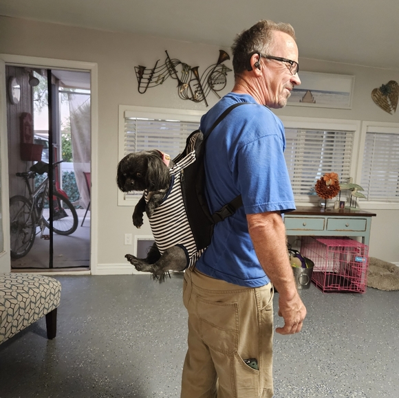 Legs Out Front or Back Dog Carrier Backback for Small Dogs - Picture 4 of 5